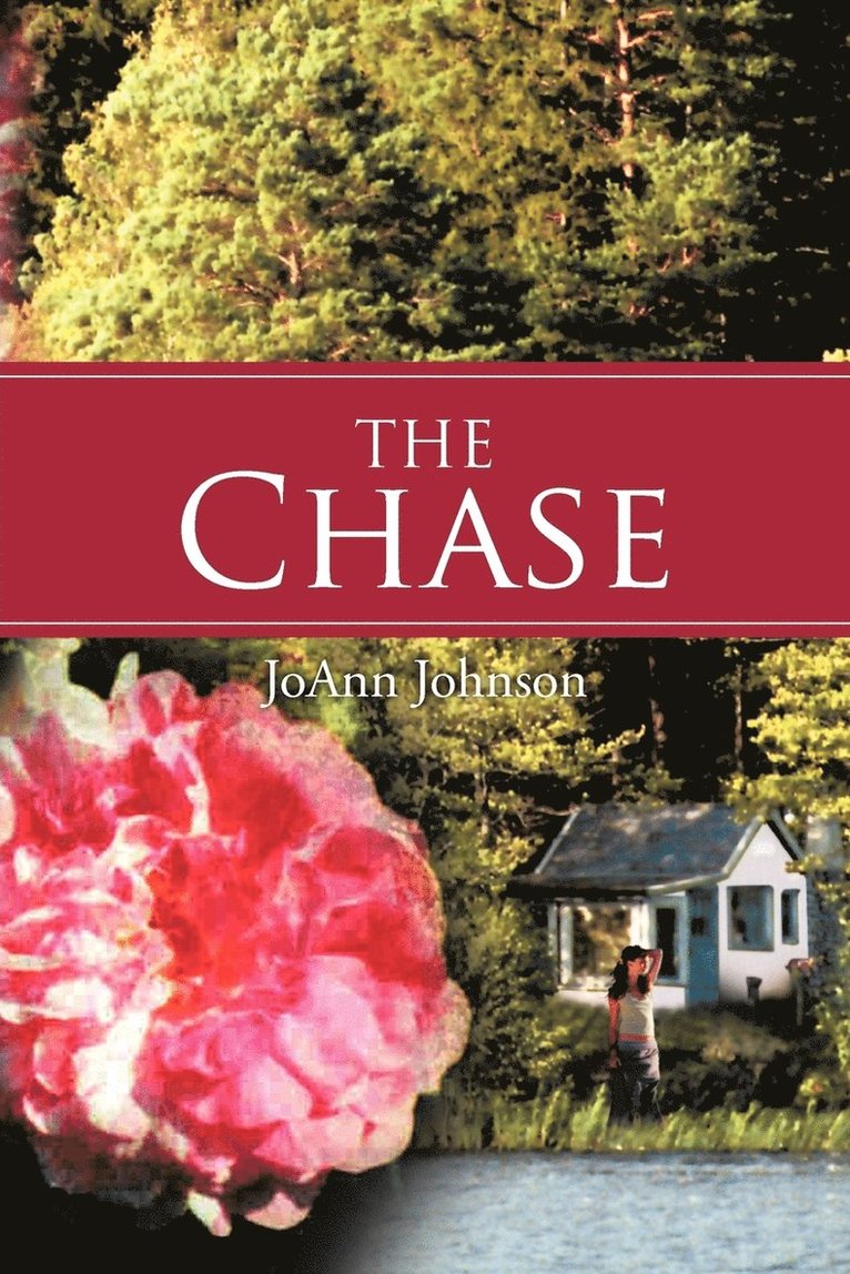 JoAnn Johnson - Chase, Häftad