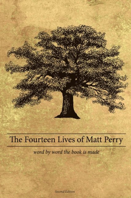 Matthew Perry - Fourteen Lives of Matt Perry, E-bok
