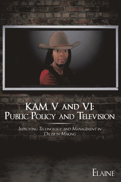 Elaine - Kam V and Vi: Public Policy and Television, E-bok
