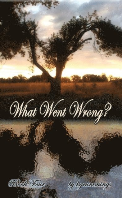 kgcummings - What Went Wrong?, E-bok
