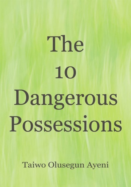 Taiwo Olusegun Ayeni - 10 Dangerous Possessions, E-bok