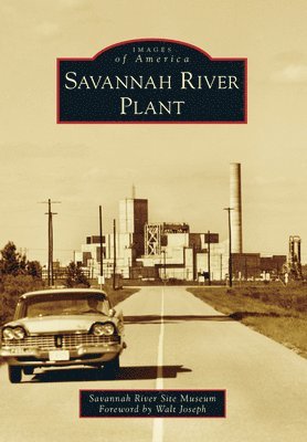 Kelly Brown, Melissa Hanson - Savannah River Plant, Häftad. Tillgänglighet: Lägg i varukorg