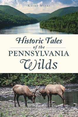 Kathy Myers - Historic Tales of the Pennsylvania Wilds, Häftad