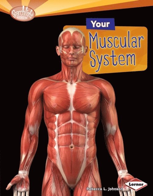 Rebecca L. Johnson - Your Muscular System, E-bok