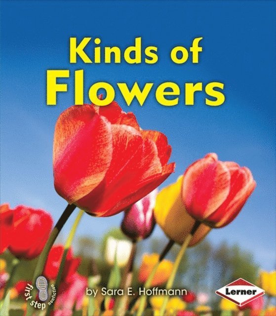 Sara E. Hoffmann - Kinds of Flowers, E-bok