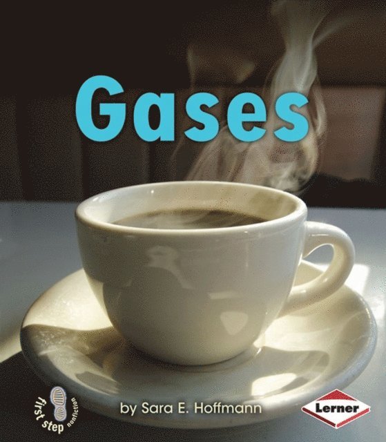 Sara E. Hoffmann - Gases, E-bok