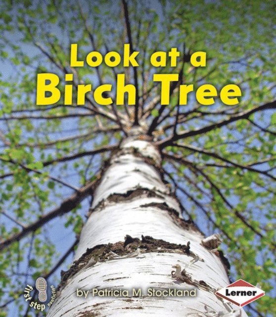 Patricia M. Stockland - Look at a Birch Tree, E-bok