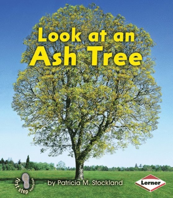 Patricia M. Stockland - Look at an Ash Tree, E-bok