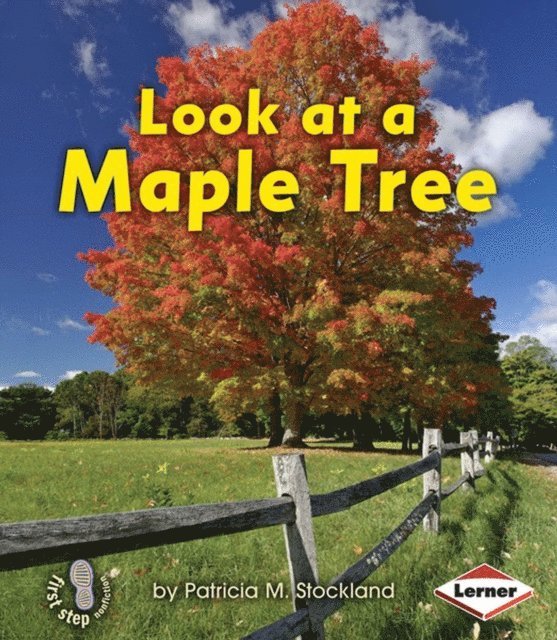 Patricia M. Stockland - Look at a Maple Tree, E-bok