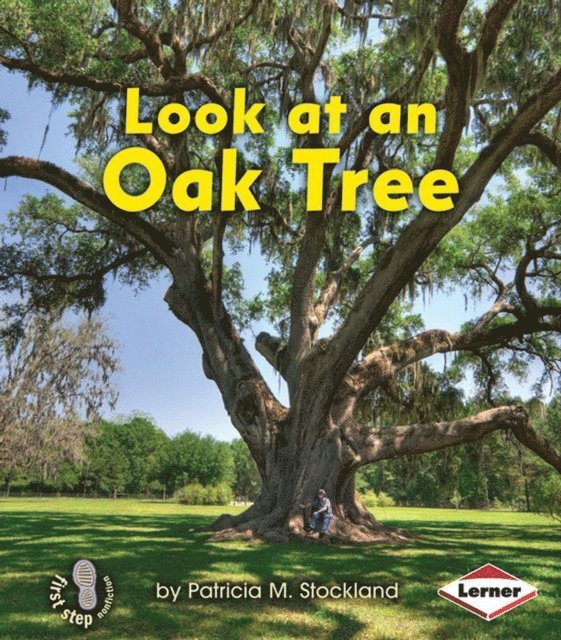 Patricia M. Stockland - Look at an Oak Tree, E-bok