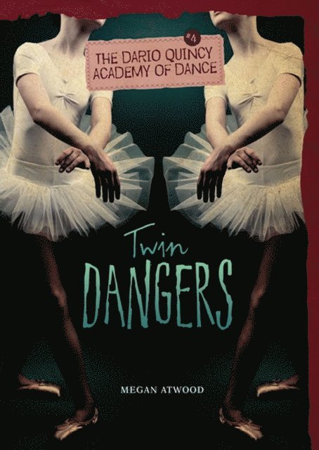 Megan Atwood - Twin Dangers, E-bok