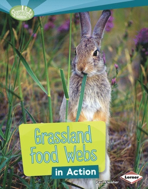 Paul Fleisher - Grassland Food Webs in Action, E-bok. Tillgänglighet: Lägg i varukorg