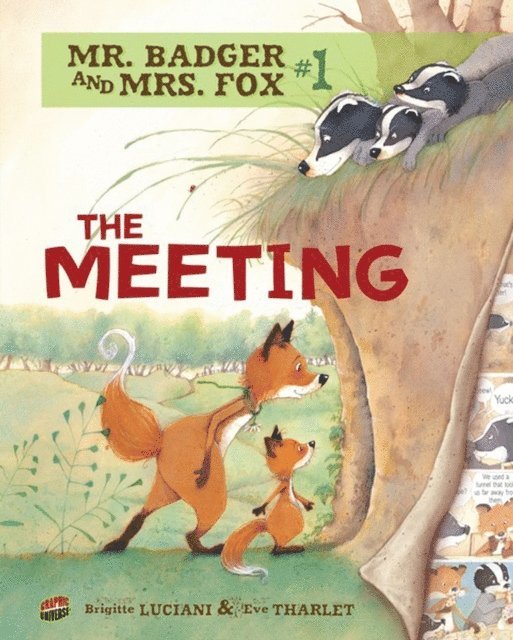 Brigitte Luciani - Meeting, E-bok