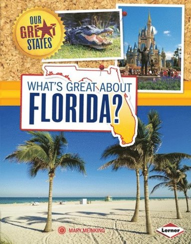 Mary Meinking - What's Great about Florida?, E-bok