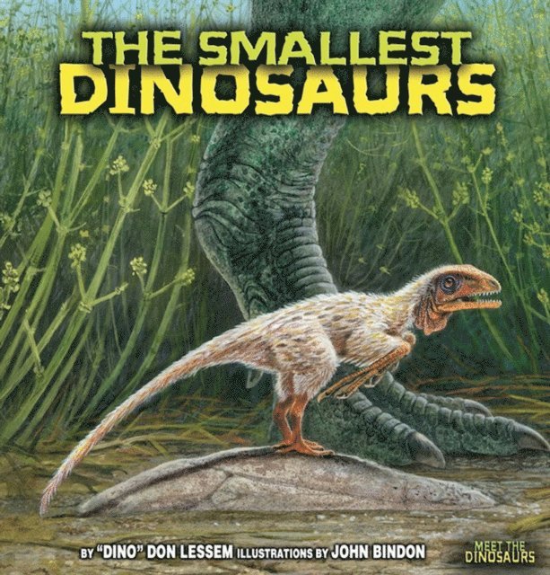 Don Lessem - Smallest Dinosaurs, E-bok