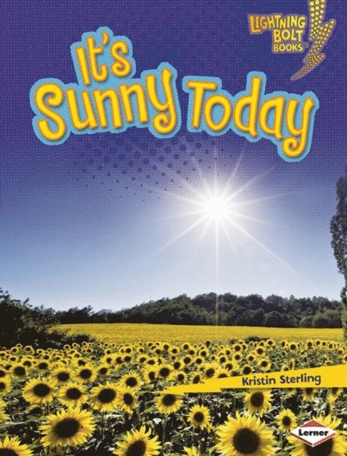 Kristin Sterling - It's Sunny Today, E-bok