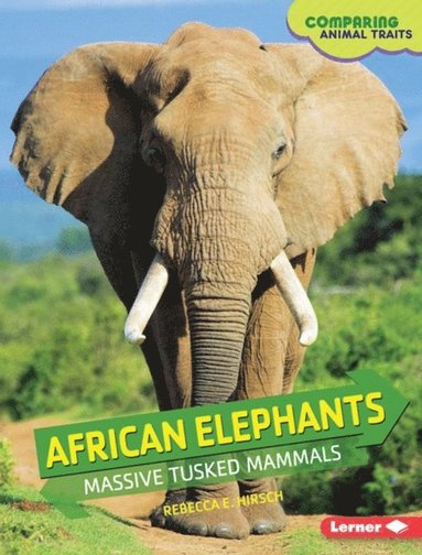 Rebecca E. Hirsch - African Elephants, E-bok