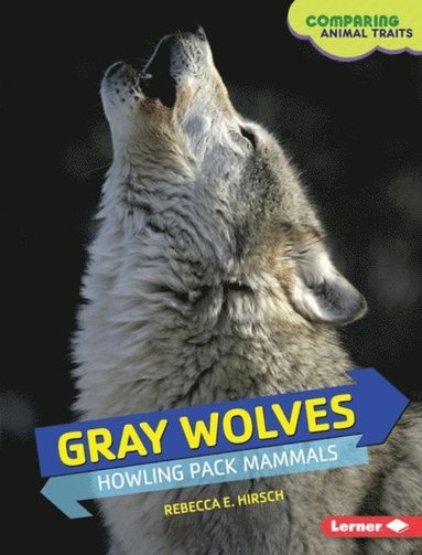 Rebecca E. Hirsch - Gray Wolves, E-bok