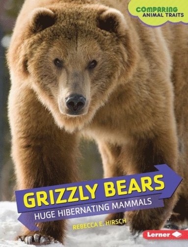 Rebecca E. Hirsch - Grizzly Bears, E-bok