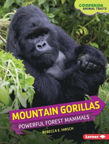 Rebecca E. Hirsch - Mountain Gorillas, E-bok