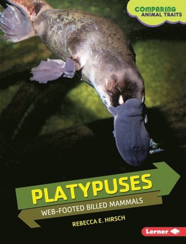 Rebecca E. Hirsch - Platypuses, E-bok