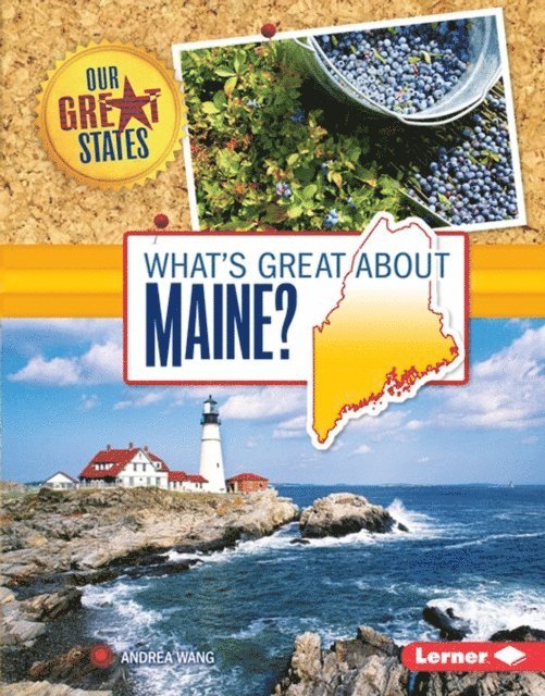 Andrea Wang - What's Great about Maine?, E-bok