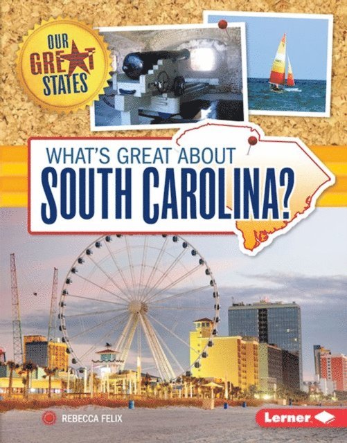 Rebecca Felix - What's Great about South Carolina?, E-bok