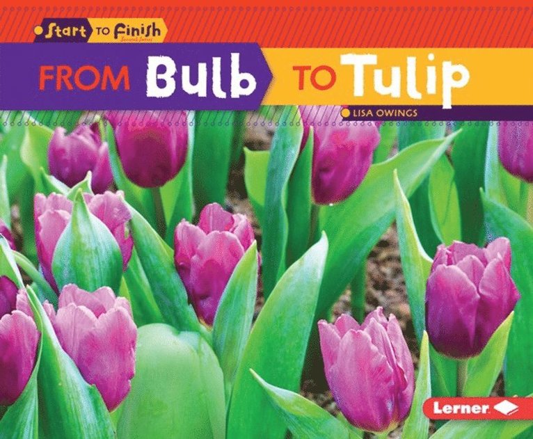 Lisa Owings - From Bulb to Tulip, E-bok