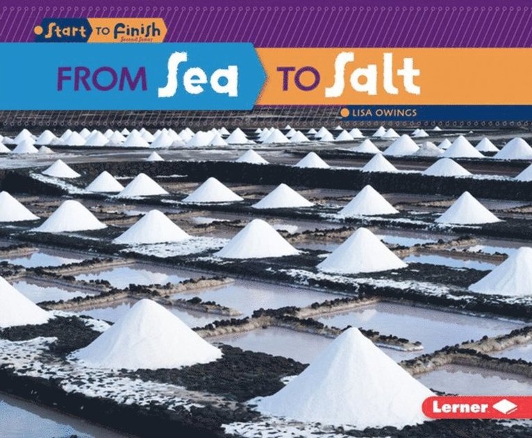 Lisa Owings - From Sea to Salt, E-bok