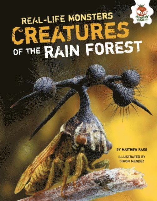 Matthew Rake - Creatures of the Rain Forest, E-bok