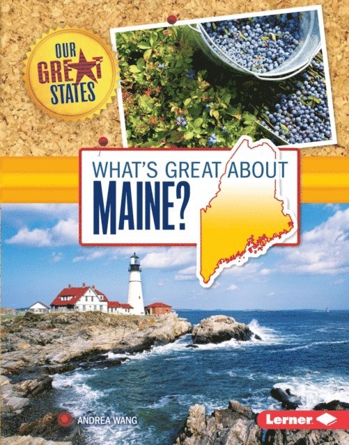 Andrea Wang - What's Great about Maine?, E-bok