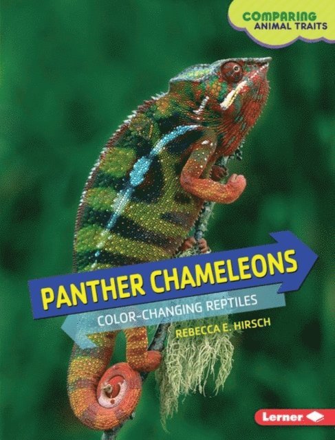 Rebecca E. Hirsch - Panther Chameleons, E-bok