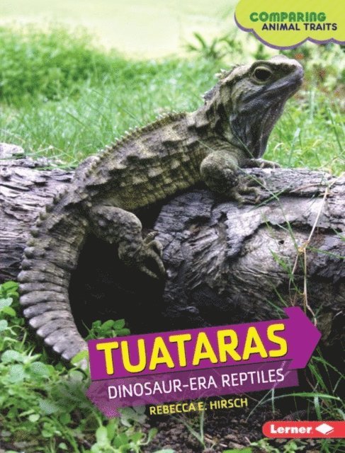 Rebecca E. Hirsch - Tuataras, E-bok
