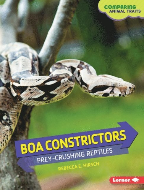 Rebecca E. Hirsch - Boa Constrictors, E-bok
