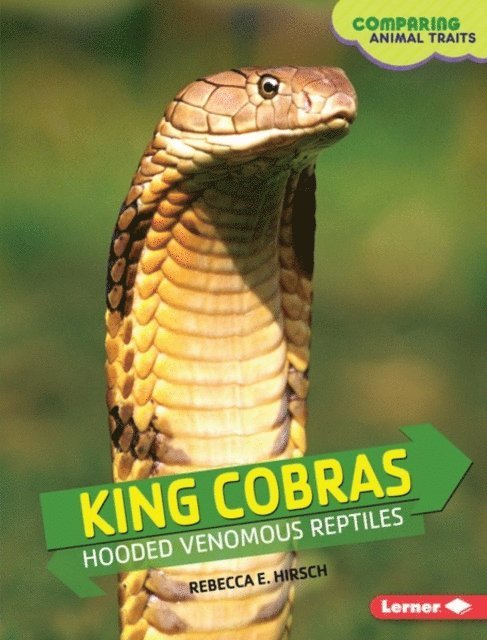 Rebecca E. Hirsch - King Cobras, E-bok