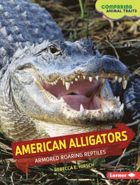 Rebecca E. Hirsch - American Alligators, E-bok