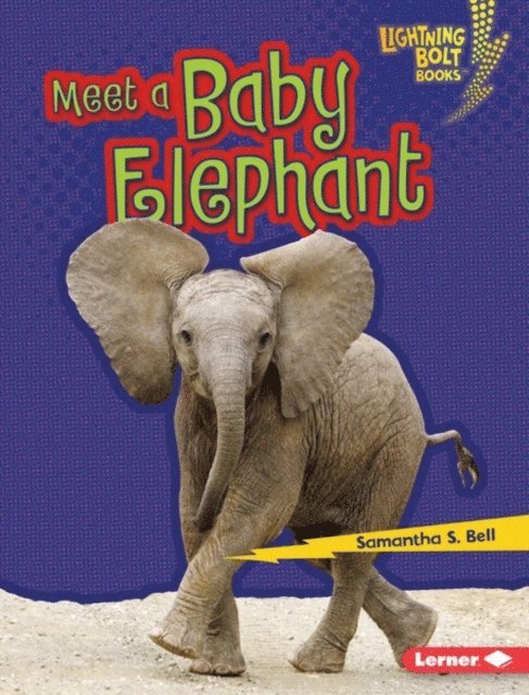 Samantha S. Bell - Meet a Baby Elephant, E-bok