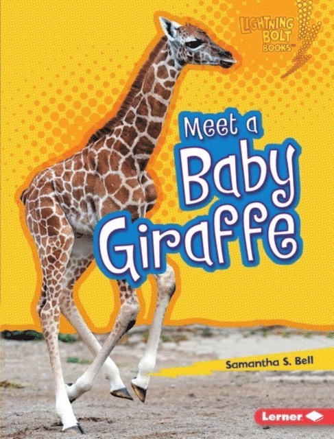 Samantha S. Bell - Meet a Baby Giraffe, E-bok