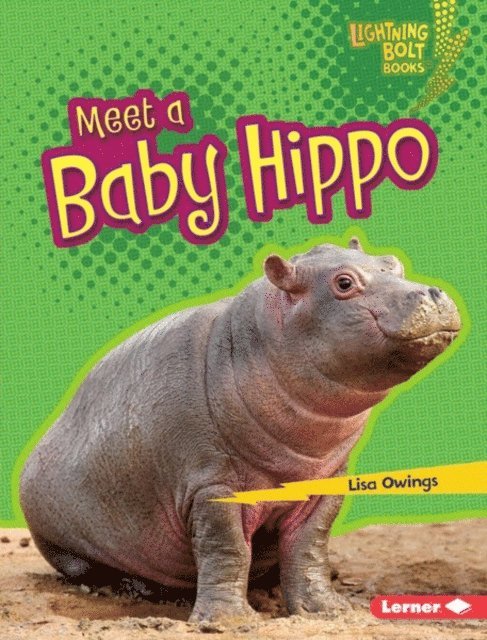 Lisa Owings - Meet a Baby Hippo, E-bok
