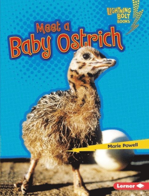 Marie Powell - Meet a Baby Ostrich, E-bok