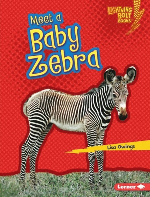 Lisa Owings - Meet a Baby Zebra, E-bok