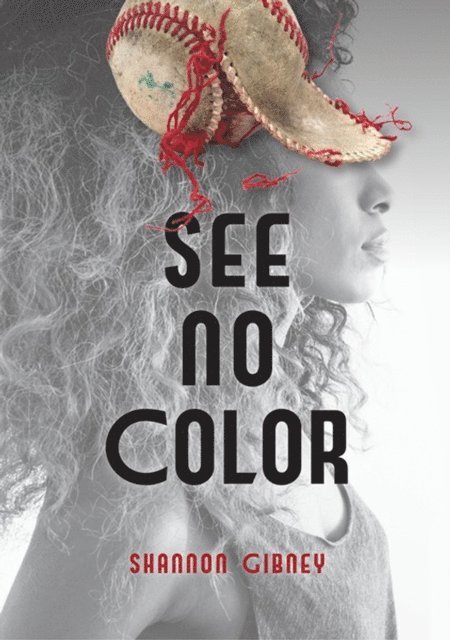 Shannon Gibney - See No Color, E-bok