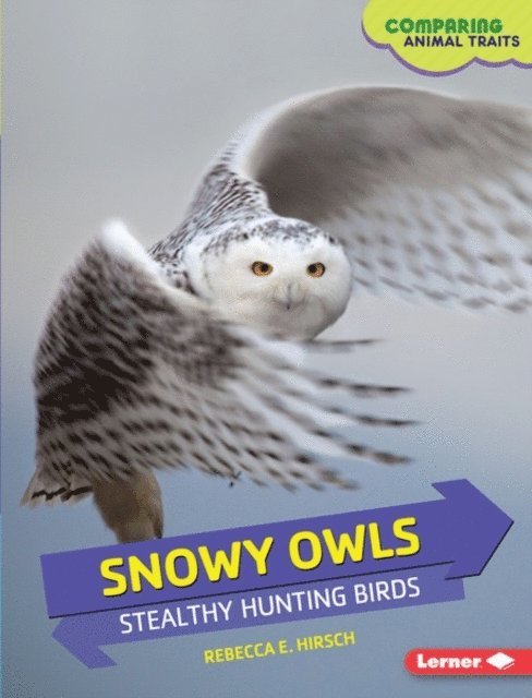 Rebecca E. Hirsch - Snowy Owls, E-bok