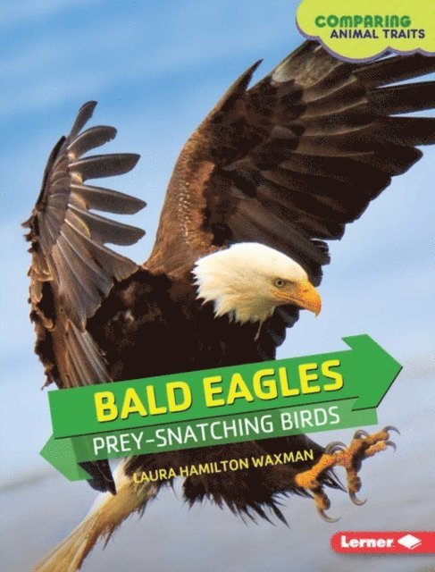 Laura Hamilton Waxman - Bald Eagles, E-bok
