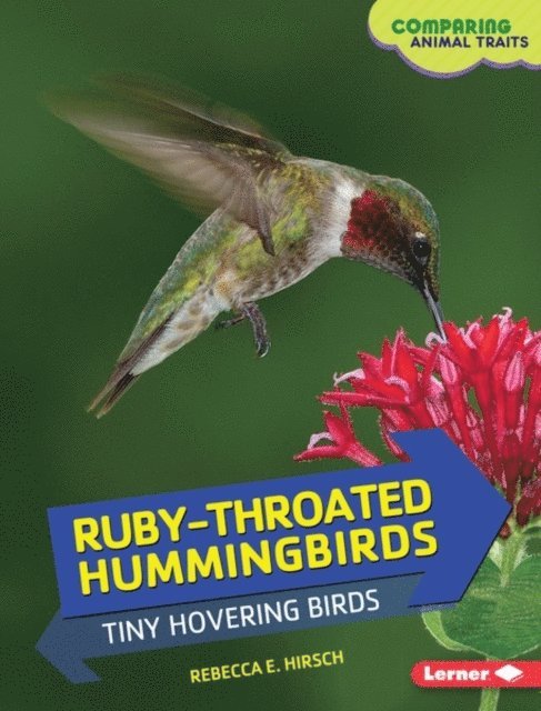 Rebecca E. Hirsch - Ruby-Throated Hummingbirds, E-bok
