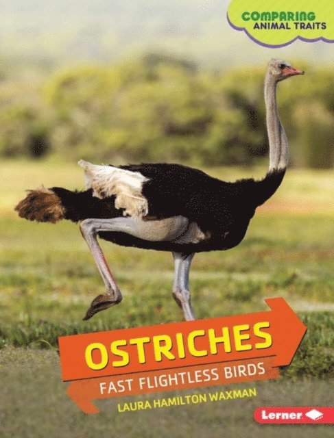 Laura Hamilton Waxman - Ostriches, E-bok