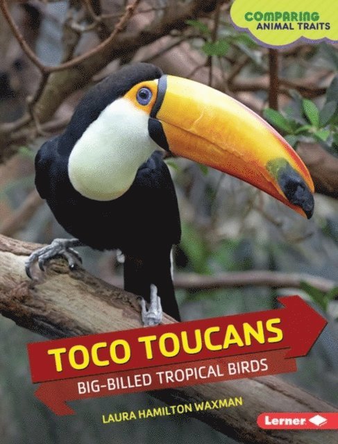 Laura Hamilton Waxman - Toco Toucans, E-bok