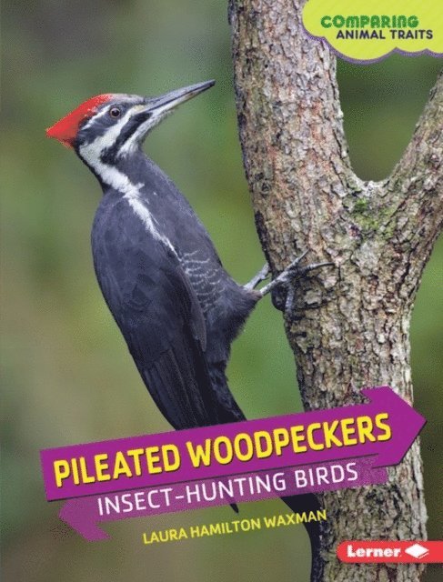 Laura Hamilton Waxman - Pileated Woodpeckers, E-bok