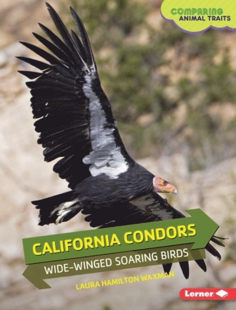 Laura Hamilton Waxman - California Condors, E-bok