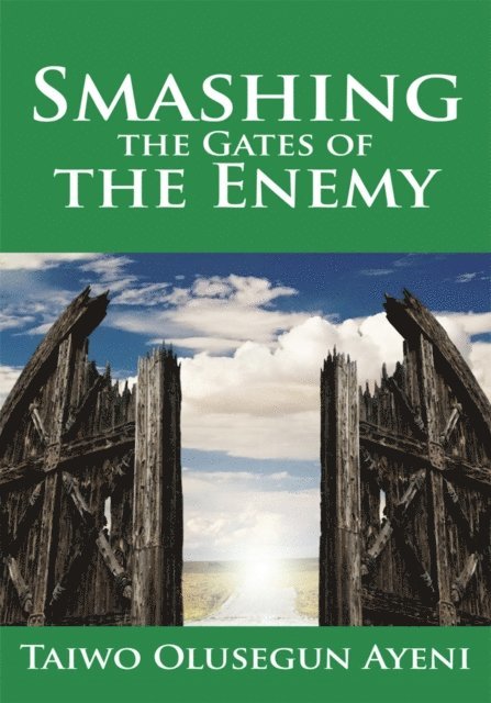 Taiwo Olusegun Ayeni - Smashing the Gates of the Enemy, E-bok